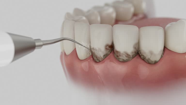 Reliable Dental contractor in Captain Cook, HI by Dentist Open Now